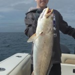 IMG-20160329-WA0000