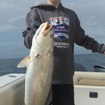 IMG-20160329-WA0001