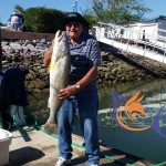 IMG-20160331-WA0015