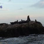 IMG-20160412-WA0003